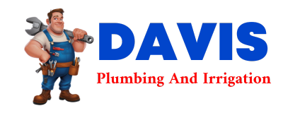 Trusted plumber in MAUCKPORT